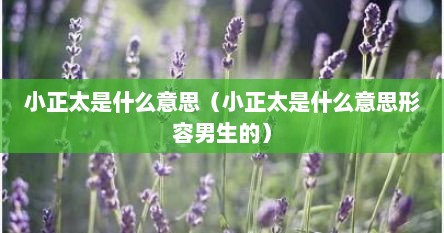 小正太是什么类型的男生（小正太是什么意思呀）