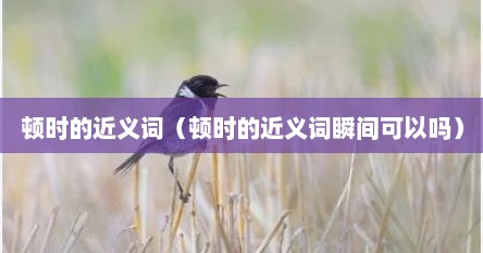 顿时的近义词（顿时的近义词瞬间可以吗）