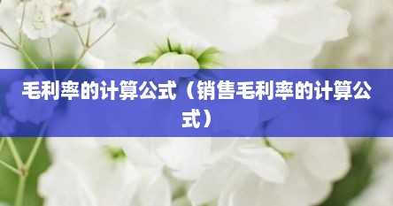 毛利率的计算公式（销售毛利率的计算公式）