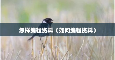怎样编辑资料（如何编辑资料）
