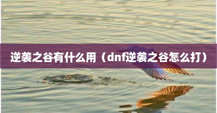 逆袭之谷有什么用（dnf逆袭之谷怎么打）