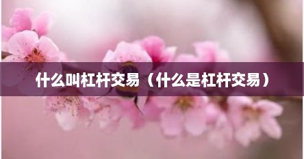 什么叫杠杆交易（什么是杠杆交易）