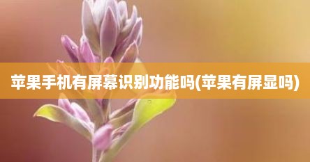 苹果手机有屏幕识别功能吗(苹果有屏显吗)
