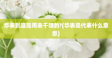华表到底是用来干啥的?(华表是代表什么意思)