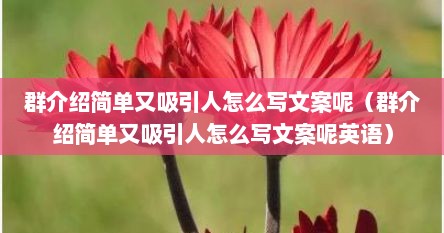 群介绍简单又吸引人怎么写文案呢（群介绍简单又吸引人怎么写文案呢英语）