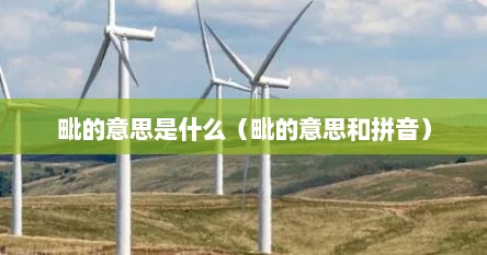 毗的意思是什么（毗的意思和拼音）