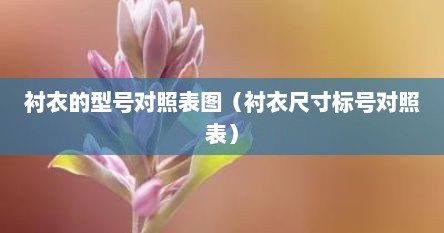 衬衣的型号对照表图(衬衣尺寸标号对照表)