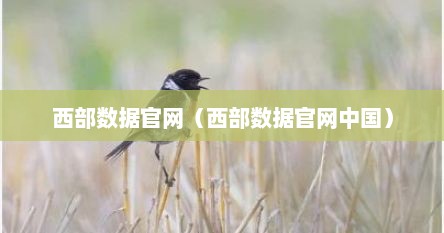 西部数据官网（西部数据官网中国）