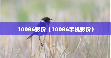 10086彩铃（10086手机彩铃）