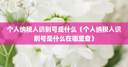 个人纳税人识别号是什么（个人纳税人识别号是什么在哪里查）
