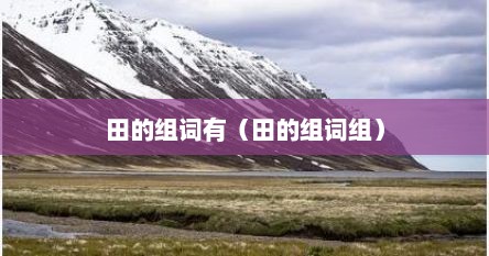 田的组词有（田的组词组）
