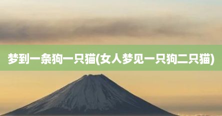 梦到一条狗一只猫(女人梦见一只狗二只猫)