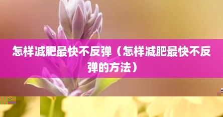 怎样减肥最快不反弹（怎样减肥最快不反弹的方法）