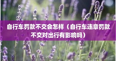自行车罚款不交会怎样（自行车违章罚款不交对出行有影响吗）