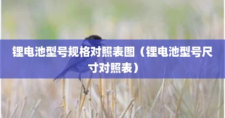 锂电池型号规格对照表图（锂电池型号尺寸对照表）