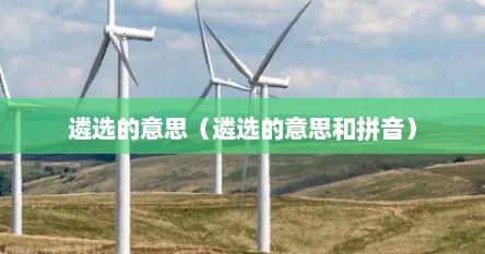 遴选的意思（遴选的意思和拼音）