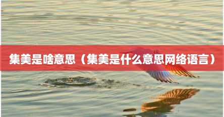 集美是啥意思（集美是什么意思网络语言）
