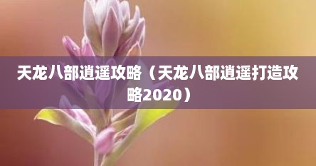 天龙八部逍遥攻略（天龙八部逍遥打造攻略2020）