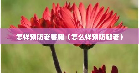 怎样预防老寒腿（怎么样预防腿老）