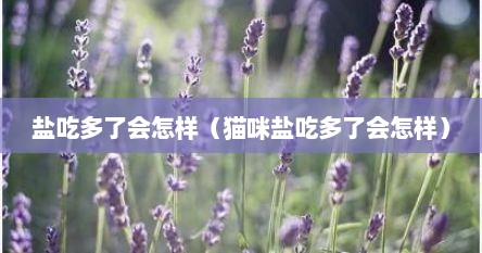 盐吃多了会怎样(猫咪盐吃多了会怎样) 盐吃多了会怎样(猫咪盐吃多了会怎样)