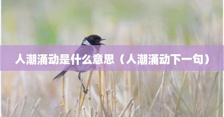 人潮涌动是什么意思（人潮涌动下一句）