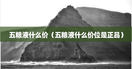 五粮液市面上多少钱一瓶（五粮液白酒什么价）