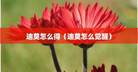 迪莫到底怎么才能进化成圣光迪莫（迪莫在哪里觉醒）