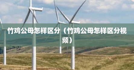 竹鸡公母怎样区分（竹鸡公母怎样区分视频）