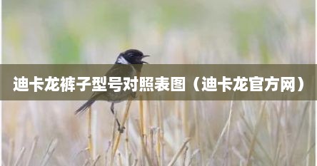 迪卡龙裤子型号对照表图（迪卡龙官方网）