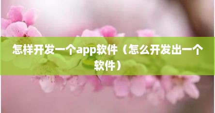 怎样开发一个app软件（怎么开发出一个软件）