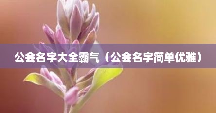 公会名字大全霸气(公会名字简单优雅)