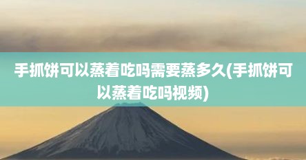 手抓饼可以蒸着吃吗需要蒸多久(手抓饼可以蒸着吃吗视频)