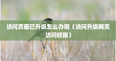 访问页面已升级怎么办啊（访问升级网页访问权限）