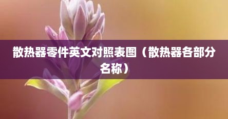 散热器零件英文对照表图（散热器各部分名称）