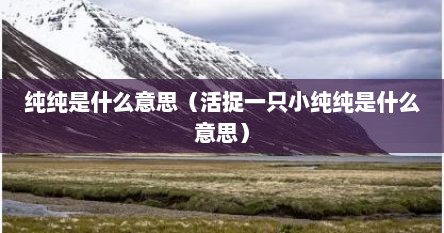 纯纯是什么意思（活捉一只小纯纯是什么意思）