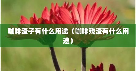 咖啡渣子有什么用途（咖啡残渣有什么用途）