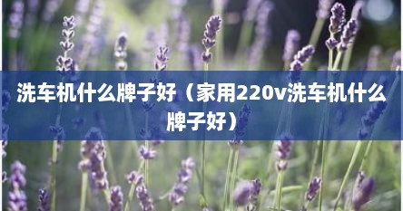 洗车机什么牌子好（家用220v洗车机什么牌子好）