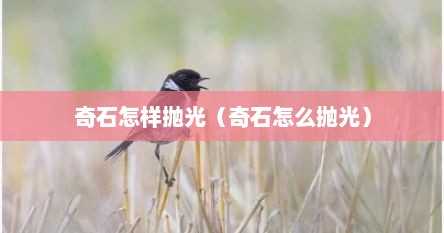 奇石怎样抛光（奇石怎么抛光）