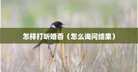 怎样打听婚否（怎么询问结果）
