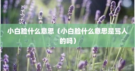 小白脸什么意思（小白脸什么意思是骂人的吗）