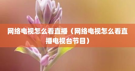 网络电视怎么看直播（网络电视怎么看直播电视台节目）