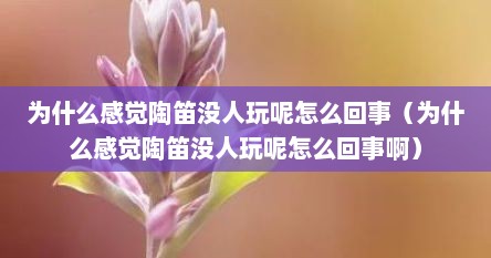 为什么感觉陶笛没人玩呢怎么回事（为什么感觉陶笛没人玩呢怎么回事啊）