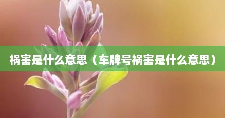 祸害是什么意思（车牌号祸害是什么意思）