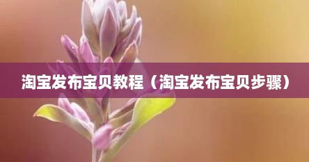 淘宝发布宝贝教程（淘宝发布宝贝步骤）
