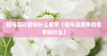 驻马店以前叫什么名字（驻马店原来的名字叫什么）