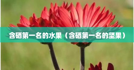 含硒第一名的水果（含硒第一名的坚果）