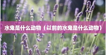 水鬼是什么动物（以前的水鬼是什么动物）