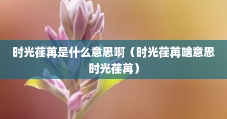 时光荏苒是什么意思啊（时光荏苒啥意思时光荏苒）