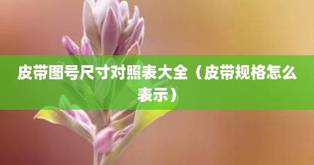 皮带图号尺寸对照表大全（皮带规格怎么表示）