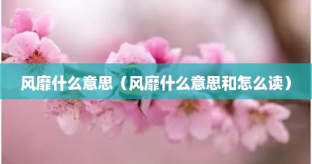 风靡什么意思（风靡什么意思和怎么读）